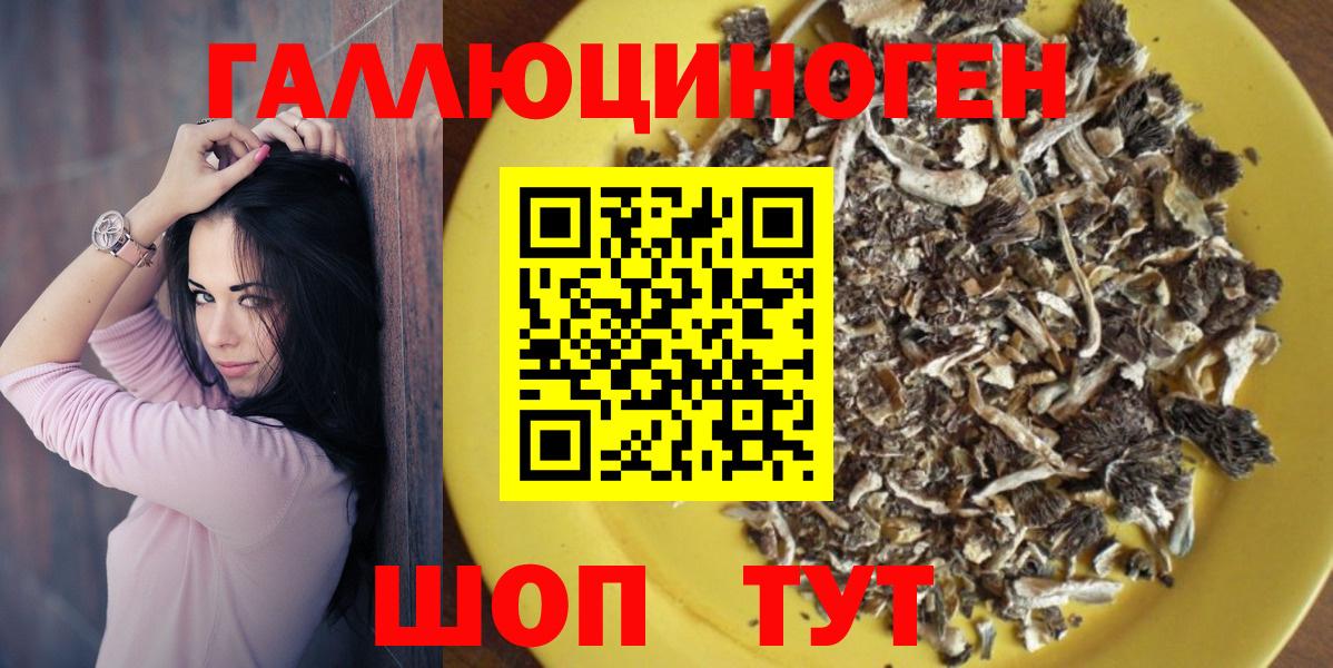 Димитровград  Псилоцибиновые грибы мицелий  Вход с VPN 