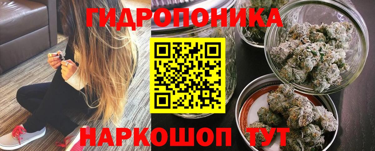 Бошки марихуана ГИДРОПОН  МАРИХУАНА OG Kush  Димитровград  Вход с VPN  Канабис White Widow 
